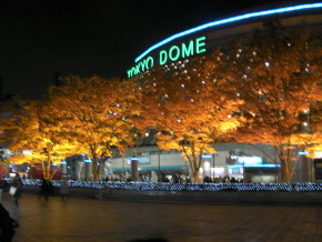 紅葉と東京ドーム