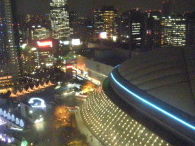 観覧車から眺めた東京ドームシティ